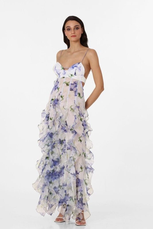 Alexia Ruffle Transparante Maxi-jurk